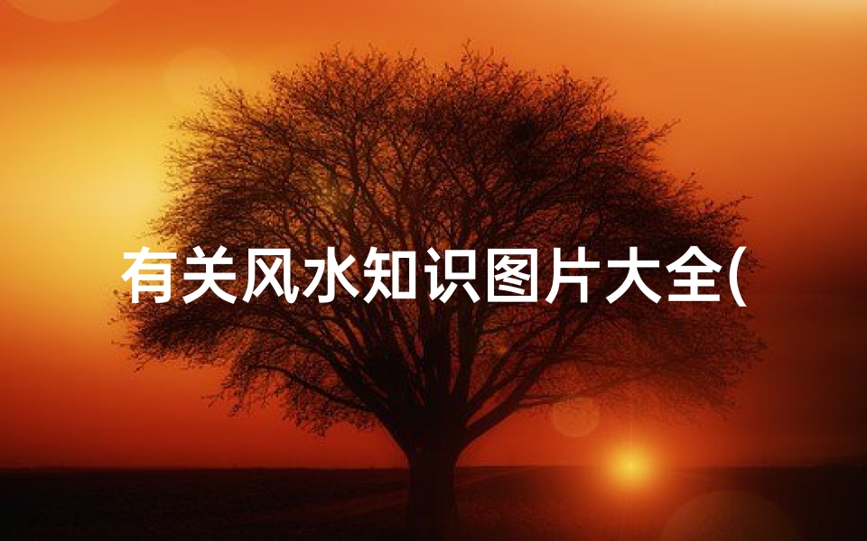 有关风水知识图片大全(招财的风水图片,招财的风水画有哪些 )-海瑞算卦网