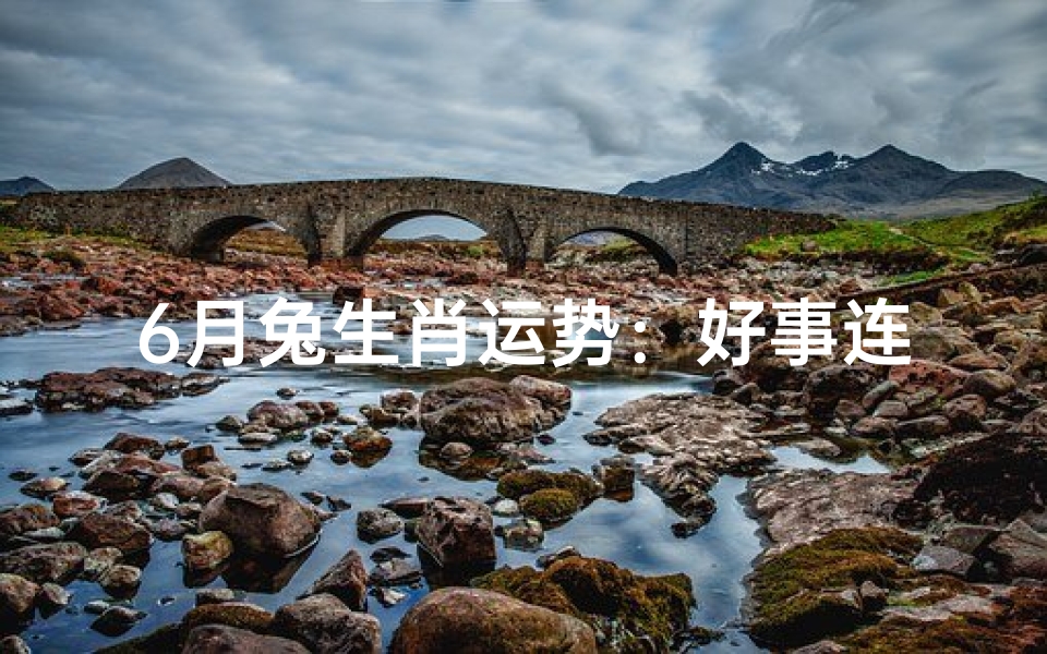 6月兔生肖运势:好事连连财运亨通事业上升。