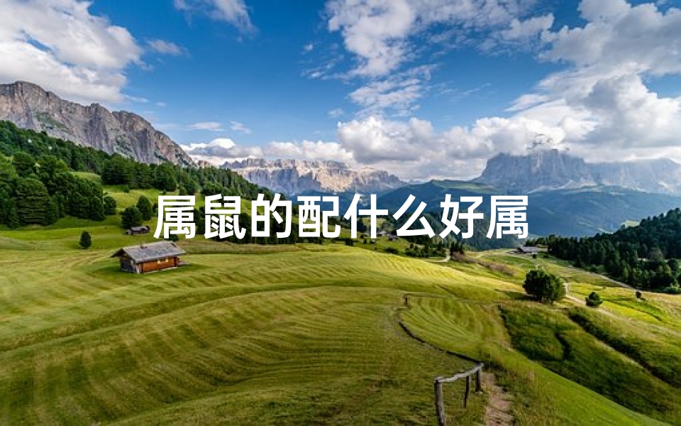 属鼠的配什么好属