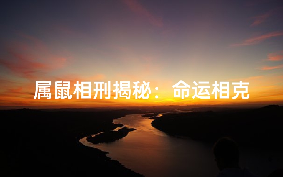 属鼠相刑揭秘:命运相克还是命中注定?