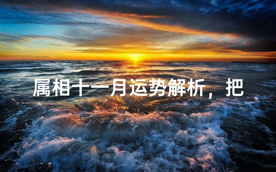 属相十一月运势解析,把握每月吉凶-生肖运势指南
