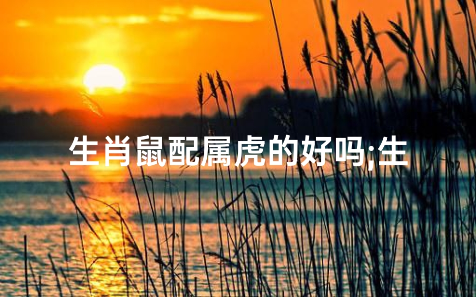 生肖鼠配属虎的好吗;生肖鼠虎缘深厚,佳偶天成配佳缘