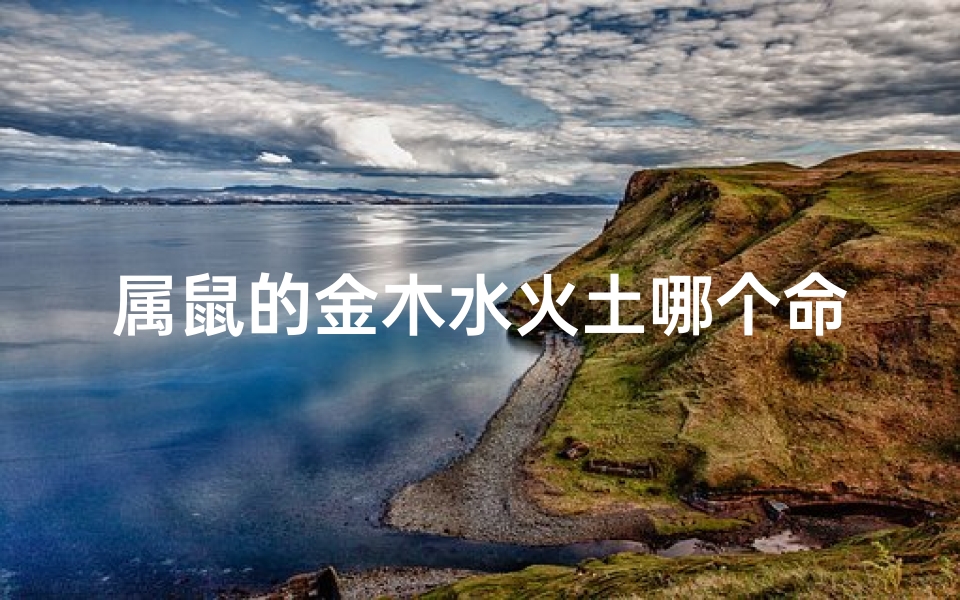 属鼠的金木水火土哪个命_属鼠之人:五行命理揭秘,金木水火土命运解析