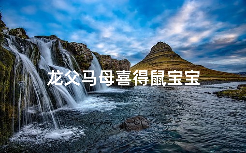 龙父马母喜得鼠宝宝
