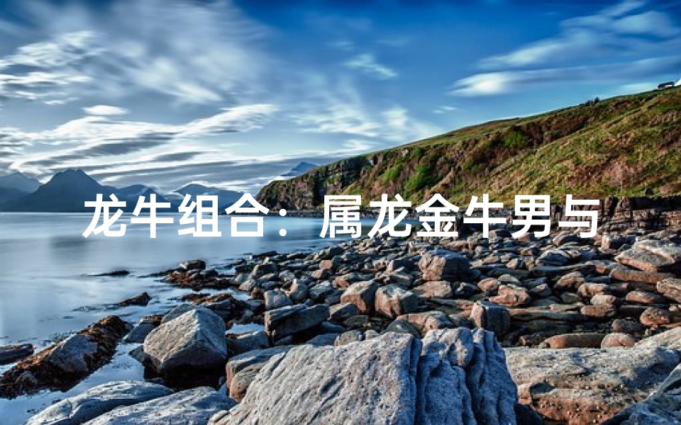 龙牛组合:属龙金牛男与属鼠天秤女的浪漫邂逅