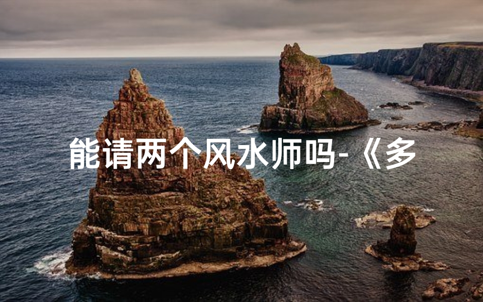 能请两个风水师吗-《多方位咨询:如何选择多个风水师?》