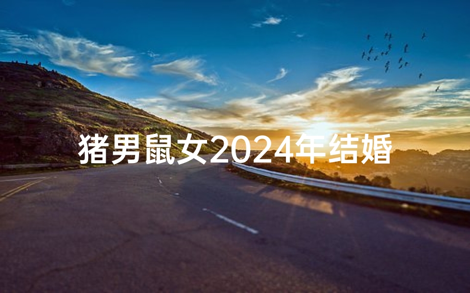 猪男鼠女2024年结婚吉日有哪些,猪男鼠女2024年喜结良缘吉日揭晓