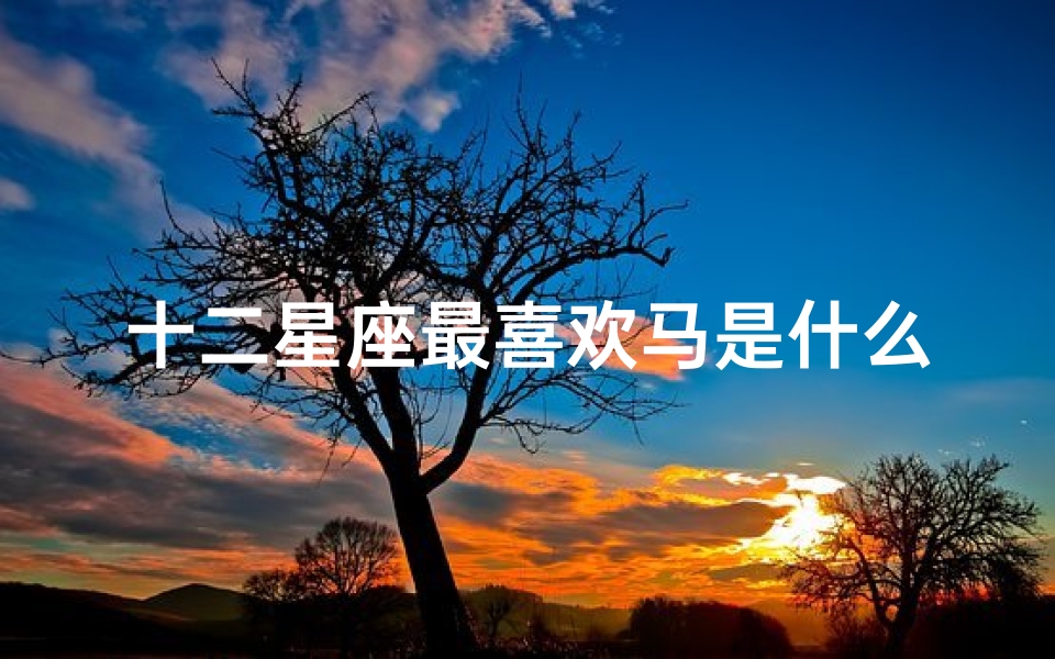 十二星座最喜欢马是什么呢(十二星座最喜欢什么类型的女生 )