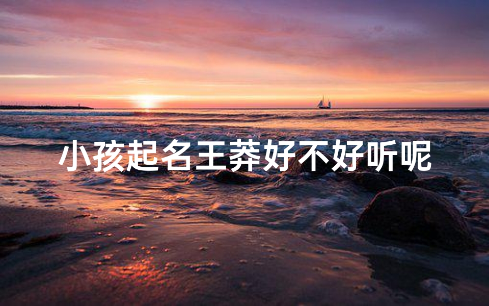 小孩起名王莽好不好听呢_王莽名字取2个字