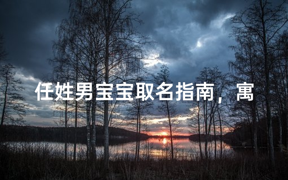任姓男宝宝取名指南,寓意深远且朗朗上口的好名字推荐