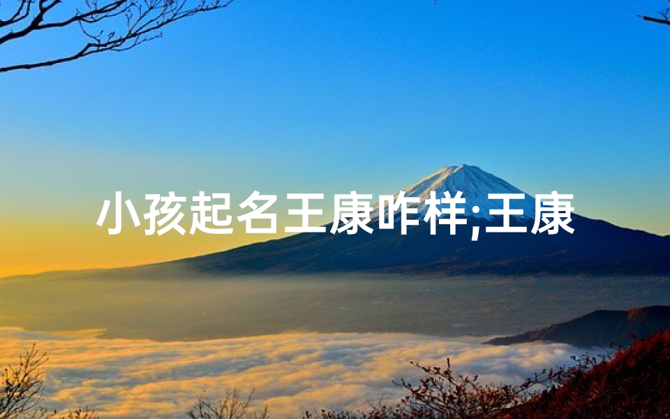 小孩起名王康咋样;王康名字怎么样