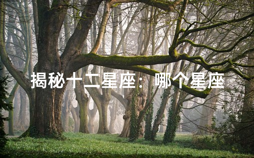揭秘十二星座:哪个星座的“傻气”指数最高?