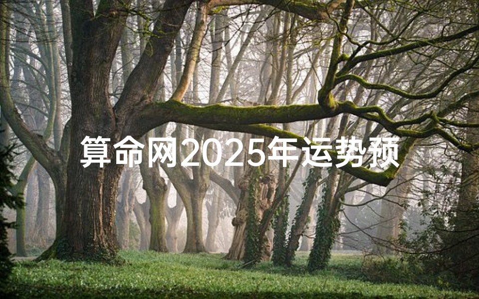 算命网2025年运势预测,十二生肖流年运程全解析-海瑞算卦网