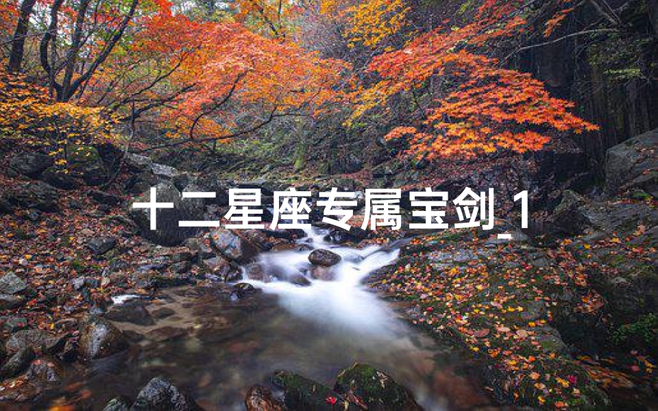 十二星座专属宝剑_1