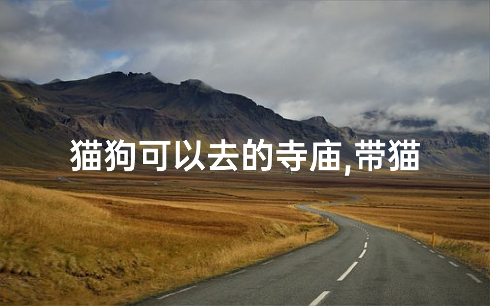 猫狗可以去的寺庙,带猫咪去寺庙