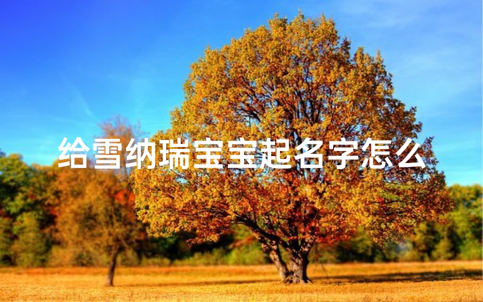 给雪纳瑞宝宝起名字怎么起(雪纳瑞最洋气的名字)
