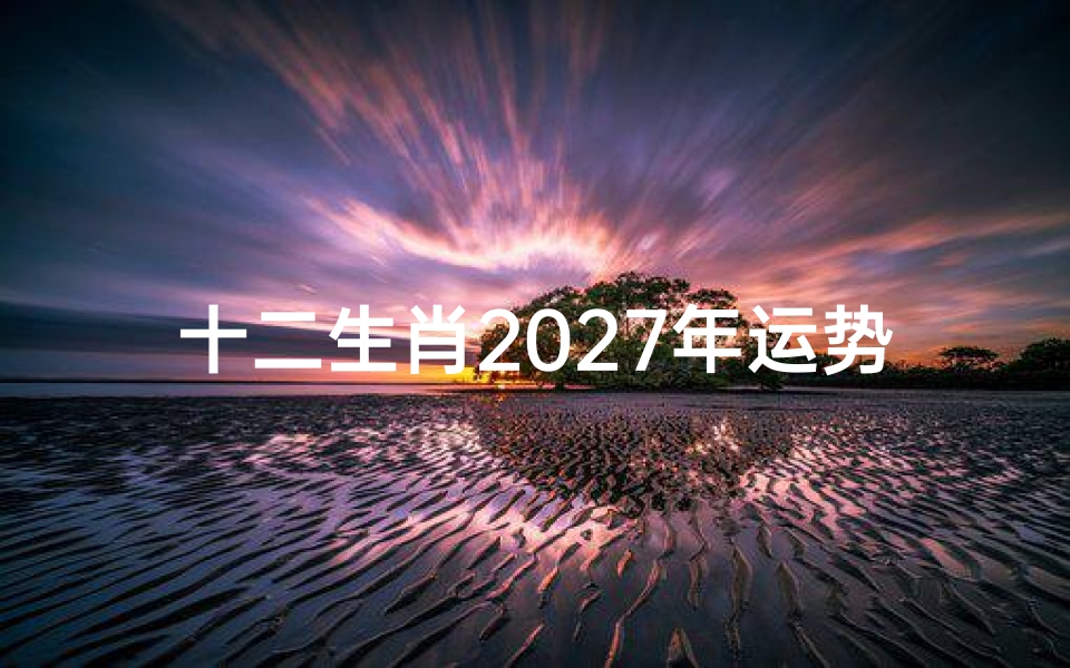 十二生肖2027年运势解析,生肖运势预测与趋吉避凶指南