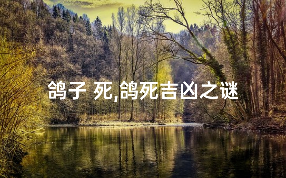 鸽子 死,鸽死吉凶之谜:揭秘生命终结的预兆