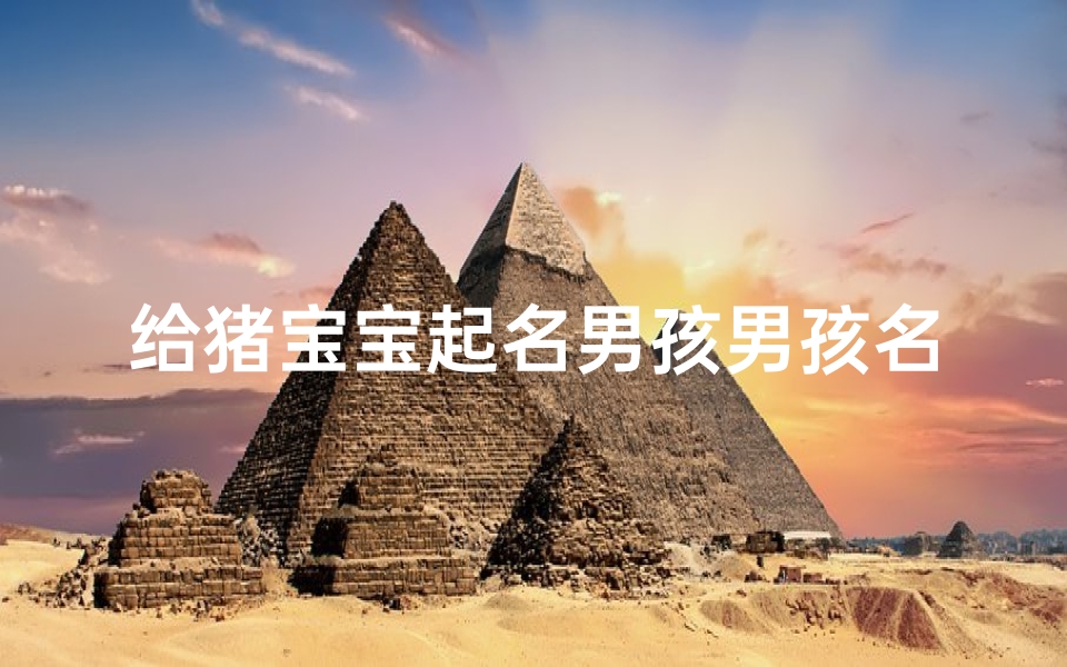 给猪宝宝起名男孩男孩名(属猪男孩名字大全)