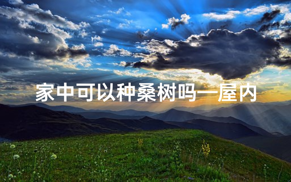 家中可以种桑树吗—屋内种桑叶树风水解析:家居绿植的吉凶奥秘