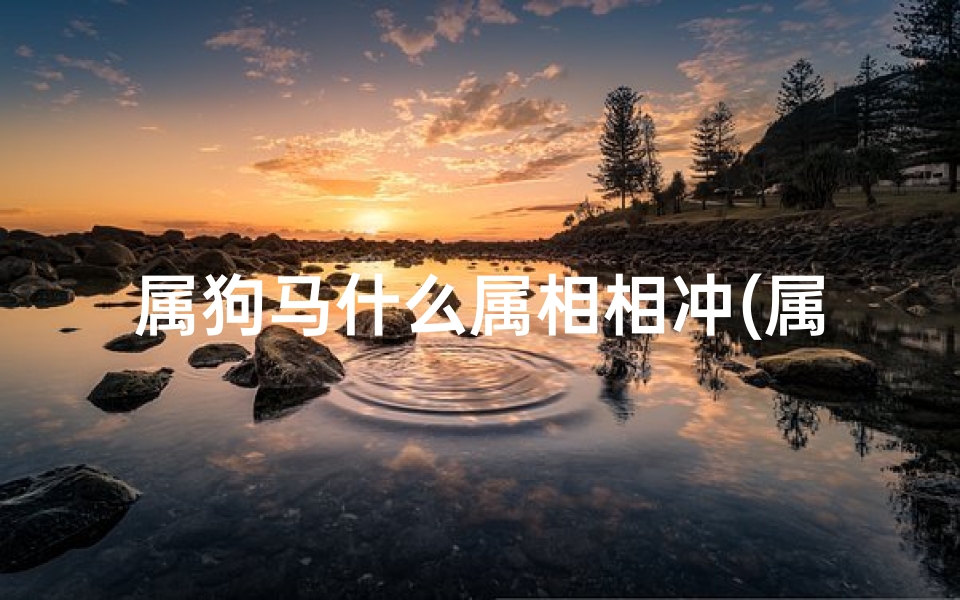 属狗马什么属相相冲(属马与什么属相相冲)