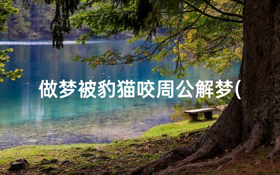 做梦被豹猫咬周公解梦(梦见孟加拉)-海瑞算卦网