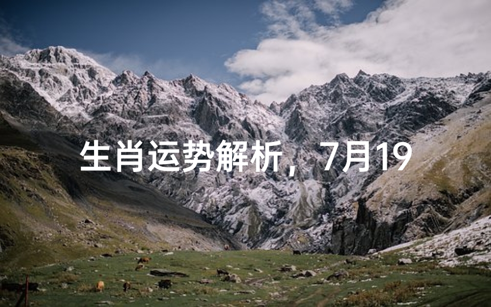 生肖运势解析,7月19日十二生肖运程全览
