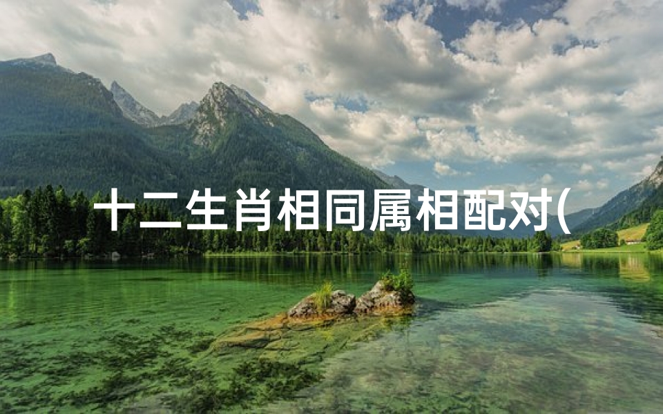 十二生肖相同属相配对(十二生肖正确的婚姻配对大全,十二生肖配对)