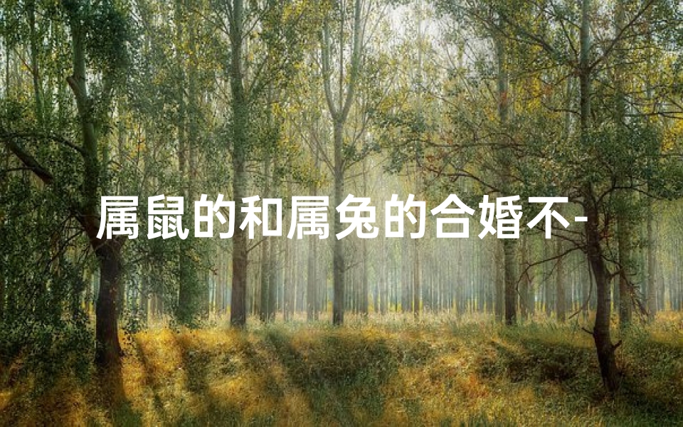 属鼠的和属兔的合婚不-属鼠的和属兔的属相结婚好吗