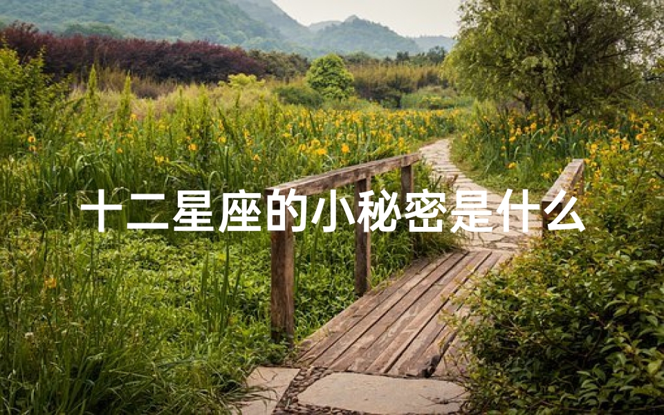 十二星座的小秘密是什么(12星座的秘密记事本都记什么 发现他们的秘密 )