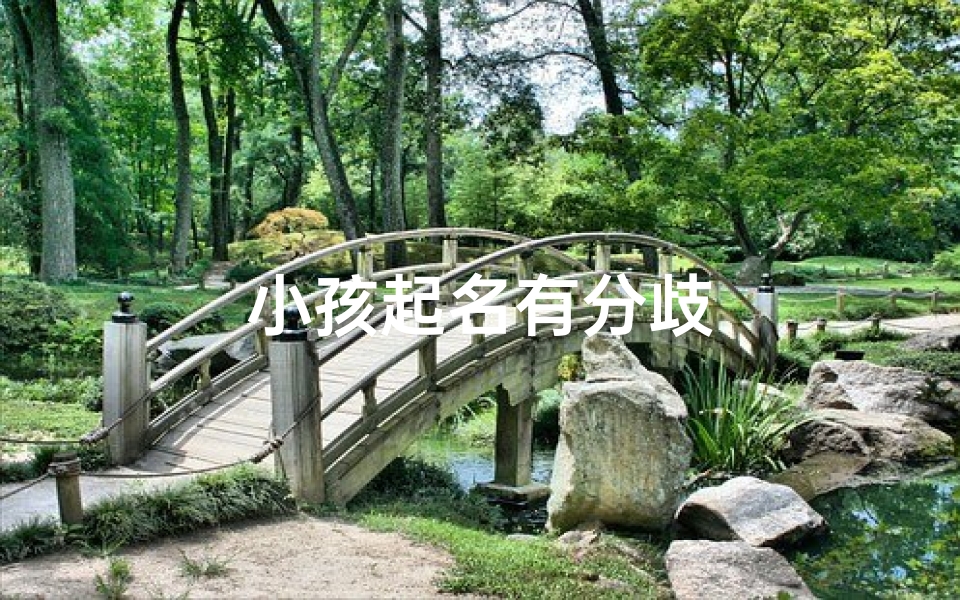 小孩起名有分歧