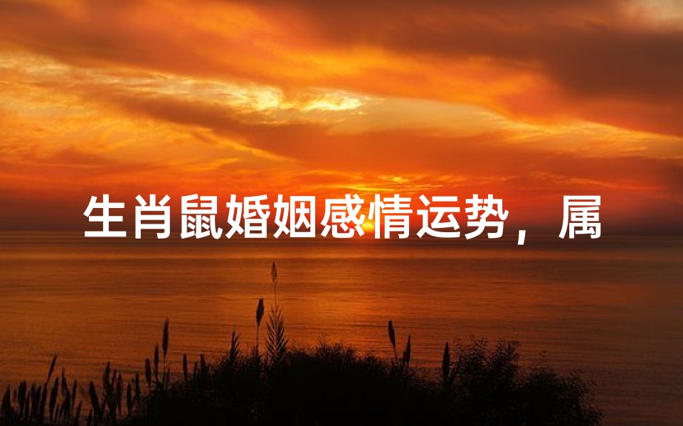 生肖鼠婚姻感情运势,属鼠人情感危机化解与幸福密码