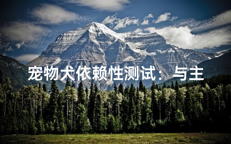 宠物犬依赖性测试:与主人分离的吉凶预兆与情感解析