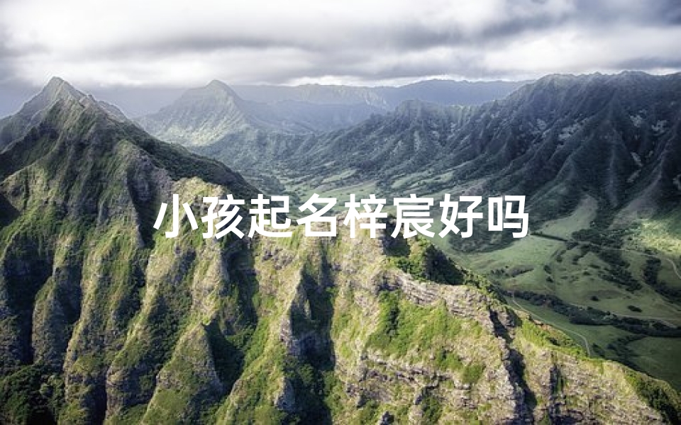 小孩起名梓宸好吗
