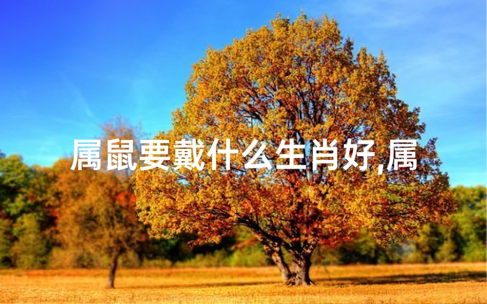 属鼠要戴什么生肖好,属鼠必备:揭秘最适合的守护神佩戴指南