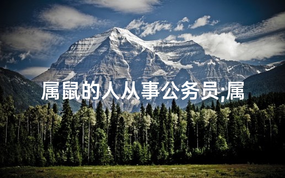 属鼠的人从事公务员;属鼠的人适合从政吗