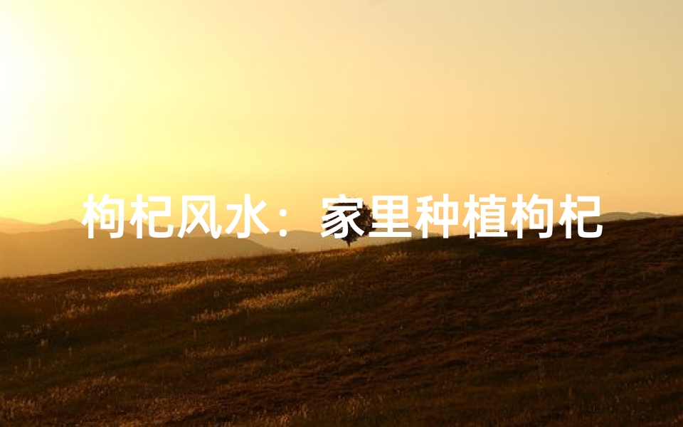 枸杞风水:家里种植枸杞真的好吗?