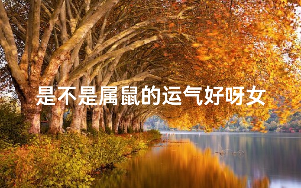 是不是属鼠的运气好呀女生—属鼠的人运气如何?揭秘生肖运势之谜