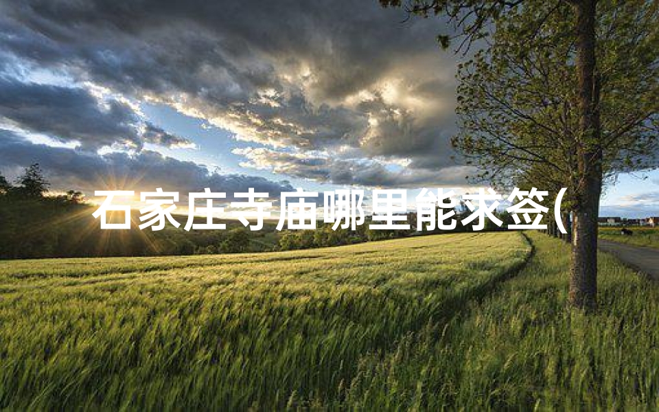 石家庄寺庙哪里能求签(寺庙求签怎么求 )