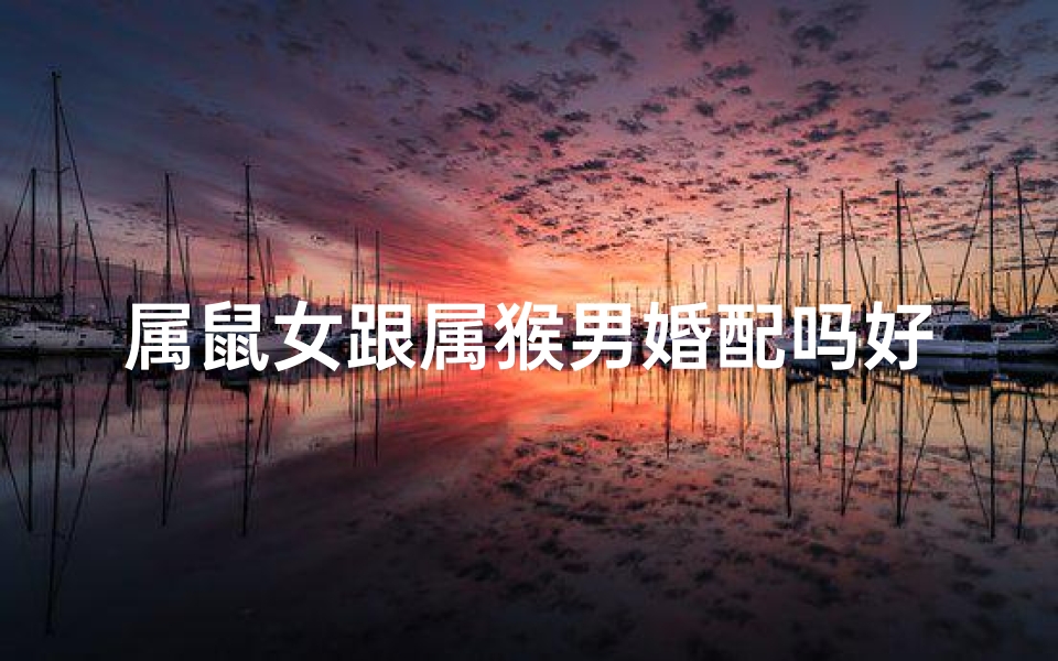 属鼠女跟属猴男婚配吗好吗、属鼠女与属猴男:婚配佳缘,幸福相伴