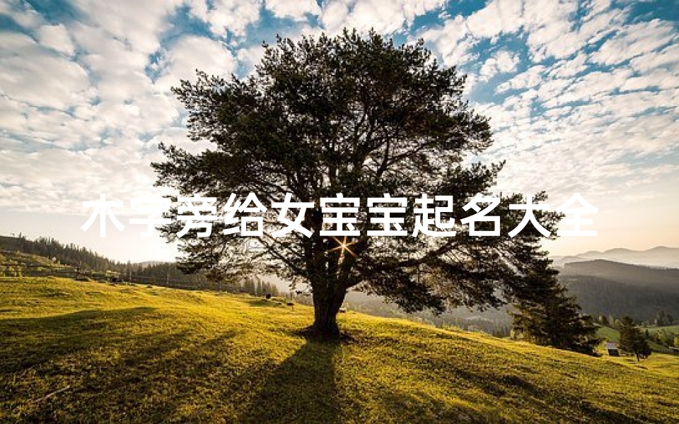 木字旁给女宝宝起名大全(女宝宝带木字旁的名字)