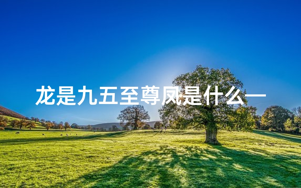龙是九五至尊凤是什么—属龙九五之尊还是中心?揭秘龙年尊位之谜