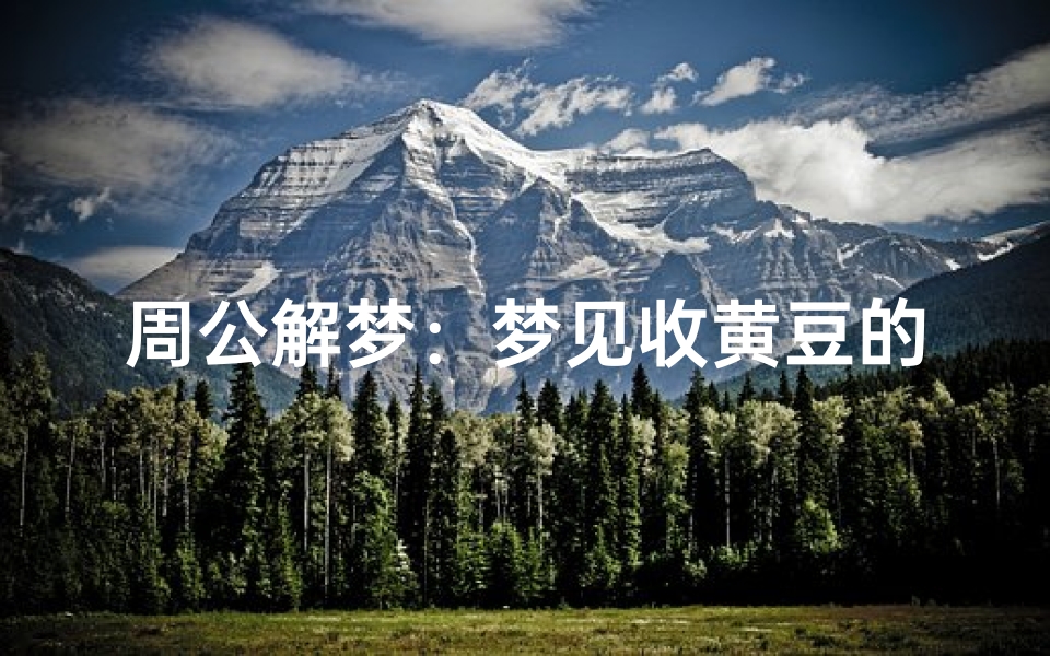 周公解梦:梦见收黄豆的深层寓意与生活启示