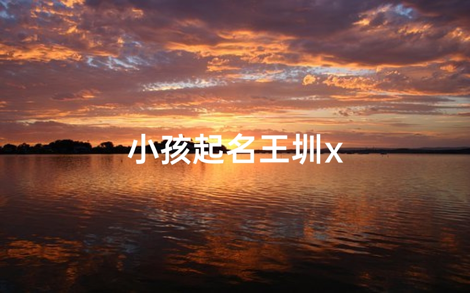 小孩起名王圳x