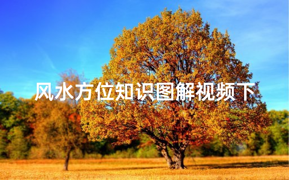 风水方位知识图解视频下载(怎样看房子的风水)