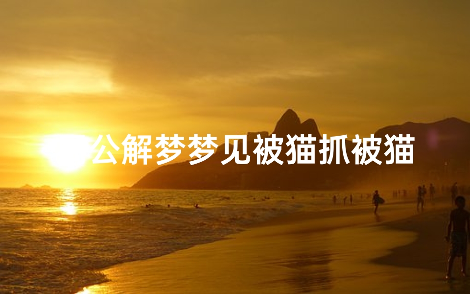 周公解梦梦见被猫抓被猫咬(梦见被猫抓咬出血了)