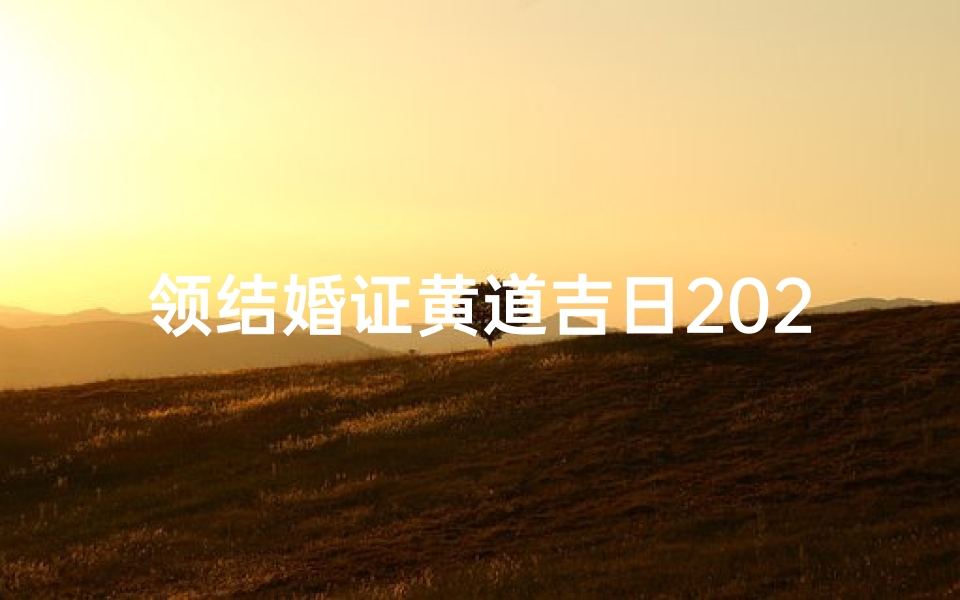 领结婚证黄道吉日2024年、2022年领结婚证的好日子有哪些?