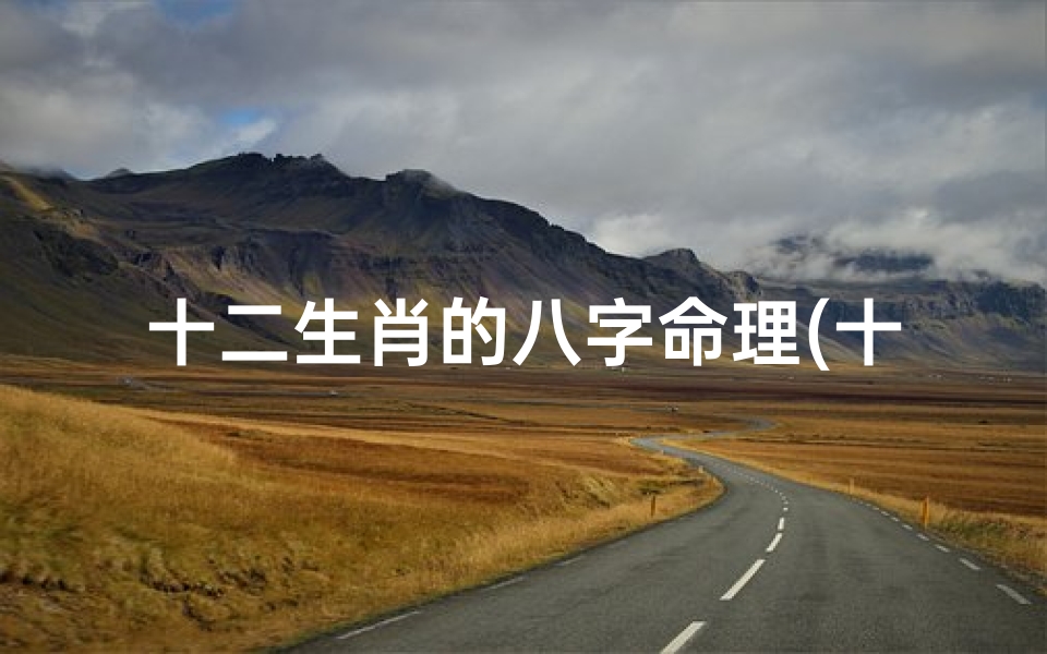十二生肖的八字命理(十二生肖命格大全,命格命运)