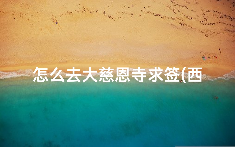 怎么去大慈恩寺求签(西安哪个寺庙能求签)