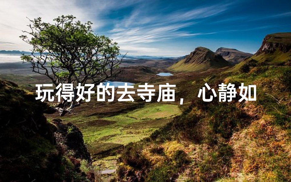 玩得好的去寺庙,心静如水禅意浓